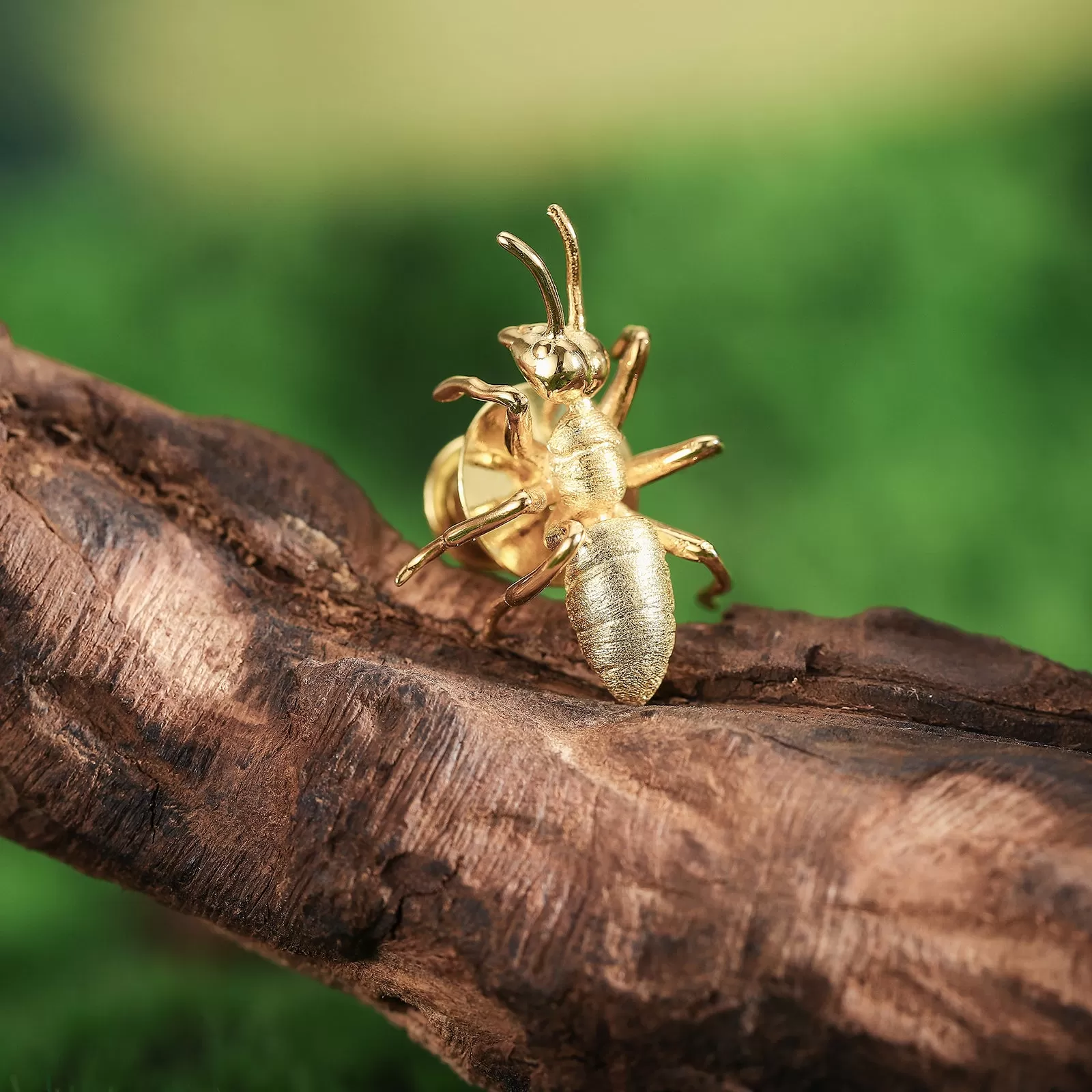 Gold Ant Brooch